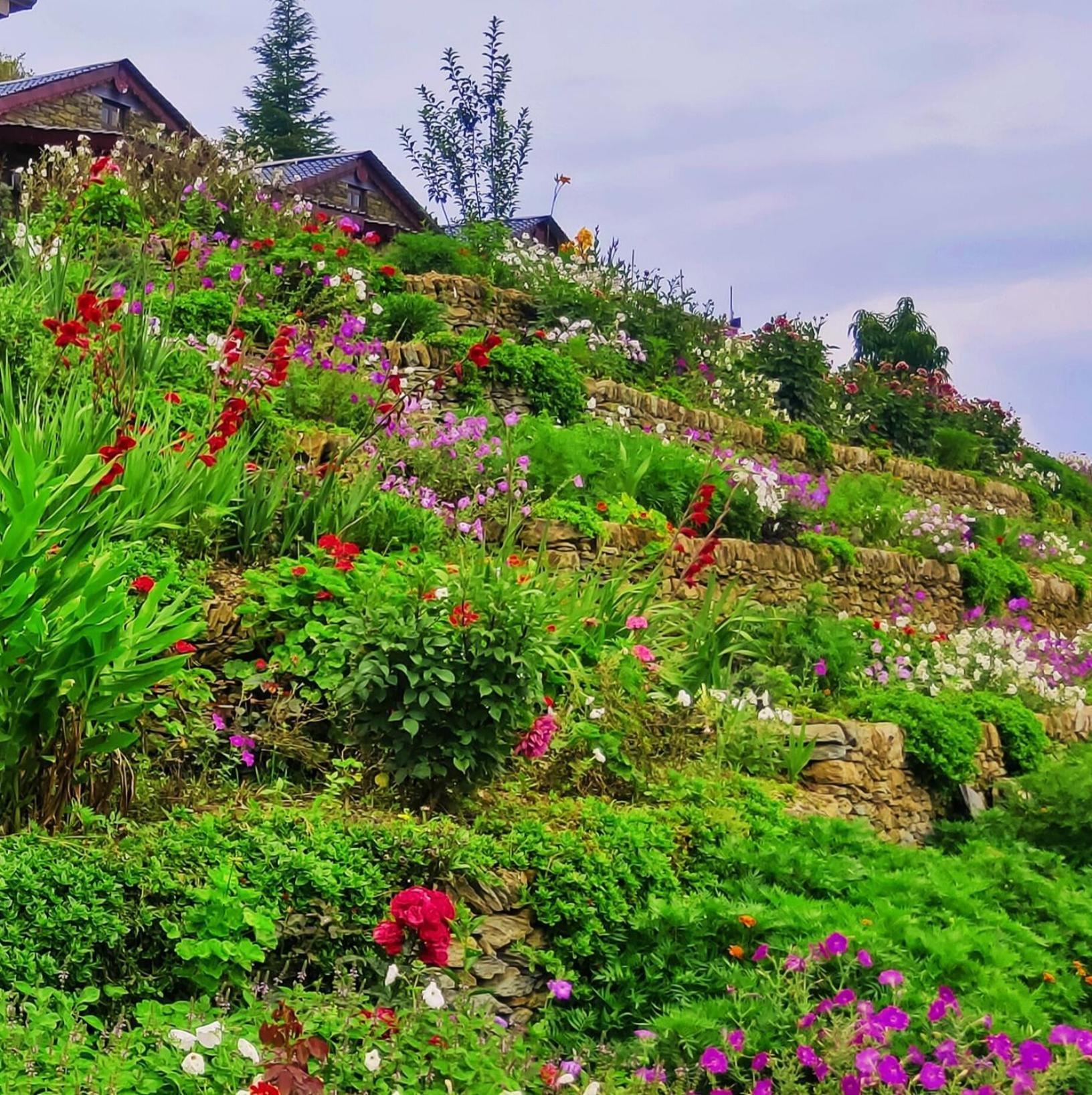 Meraki Huts Pauri Екстериор снимка